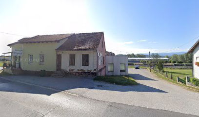 VULKANIZER, Dražen Papiga