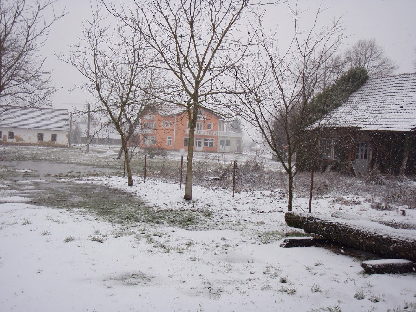 Moj bio-vrt i voćnjak