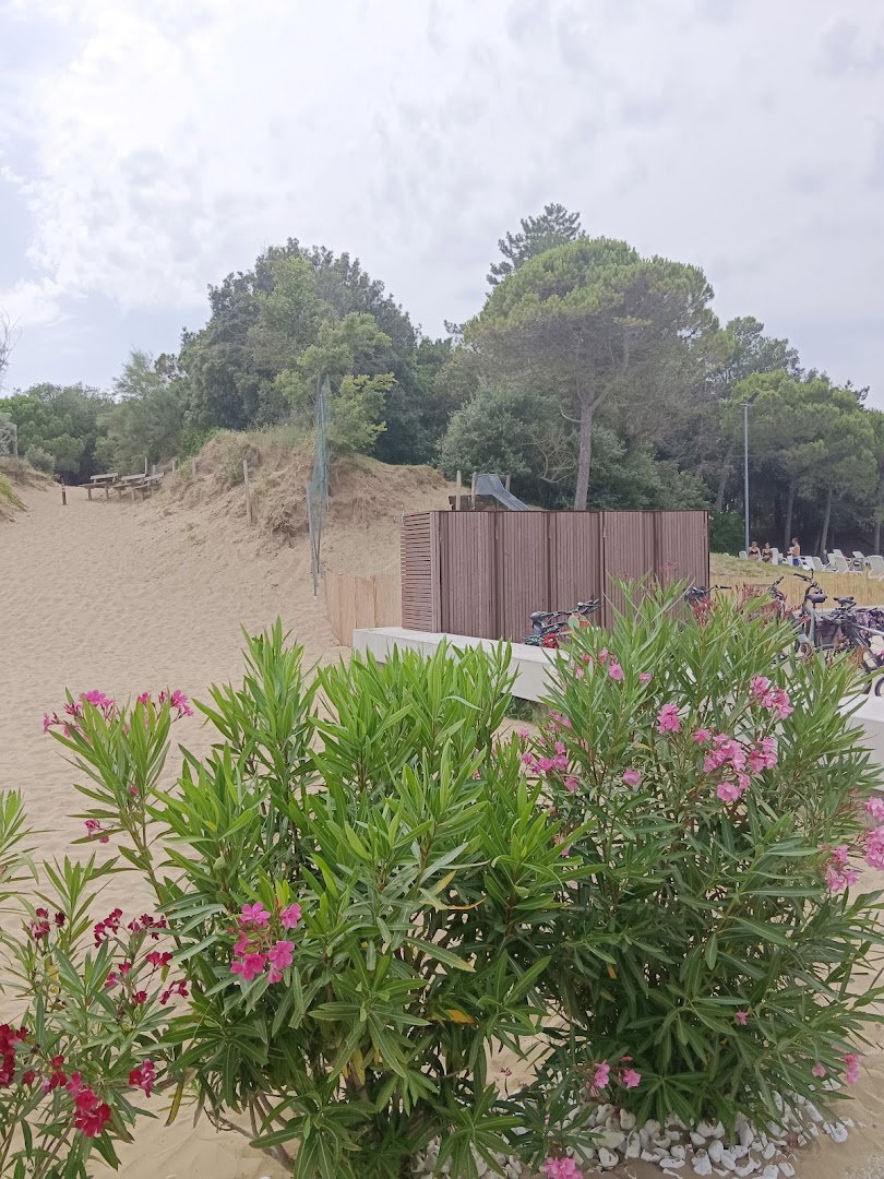 Playground Viale Centrale