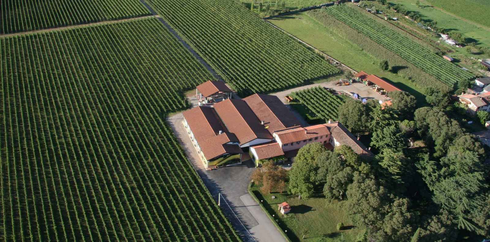 Azienda Agricola S. Elena S.R.L.