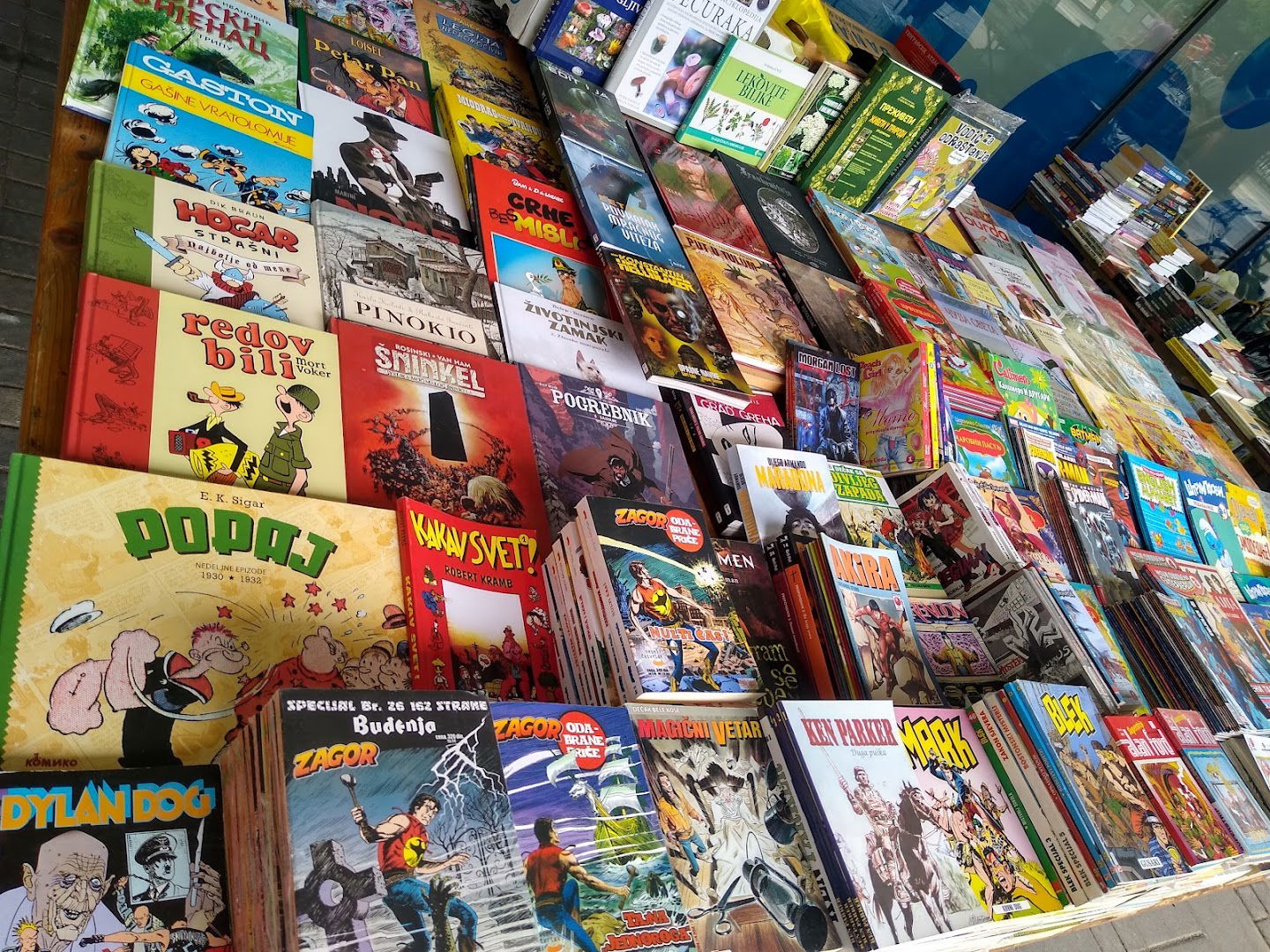 Удружење Мика Миш