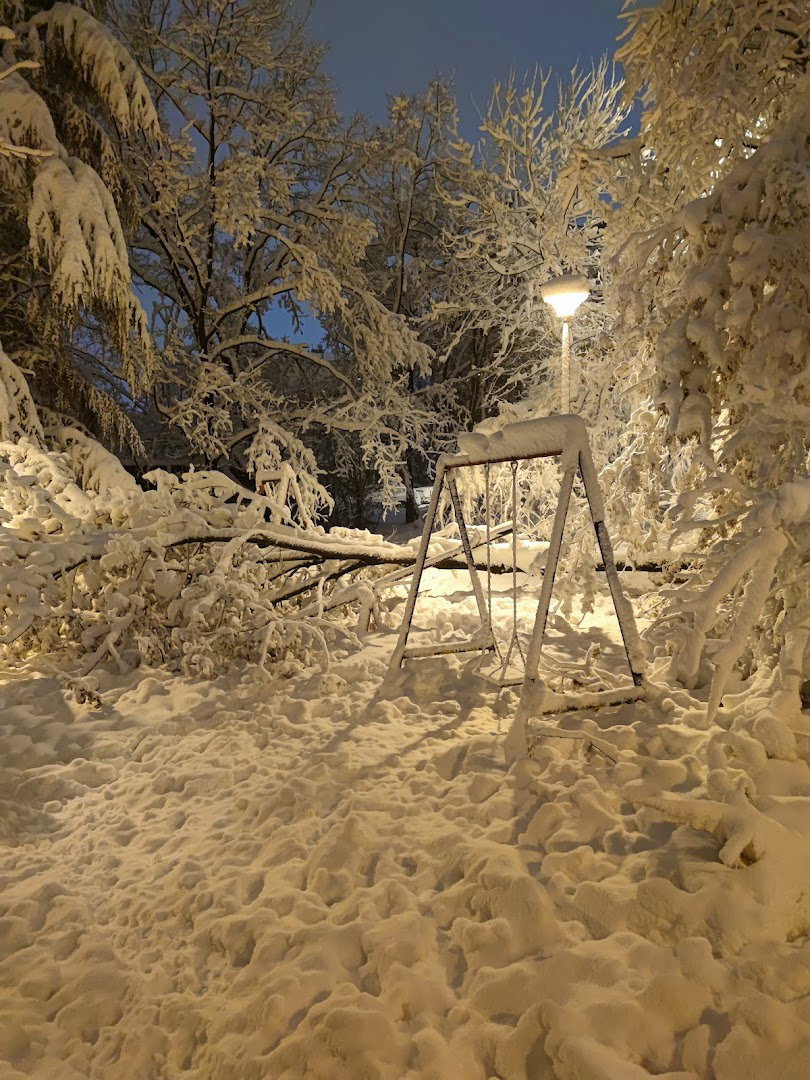 Park u Gočkoj Ulici