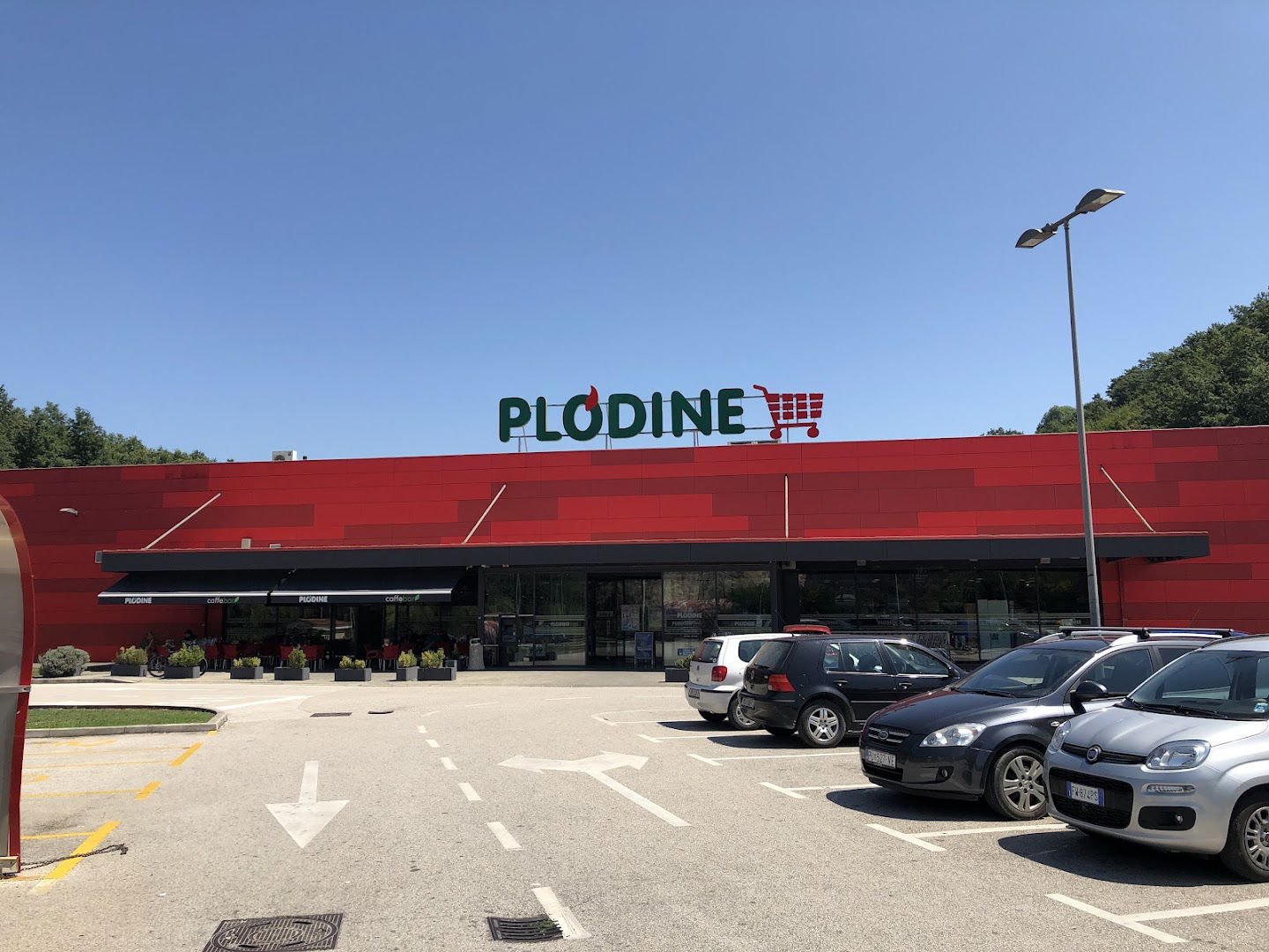 Plodine