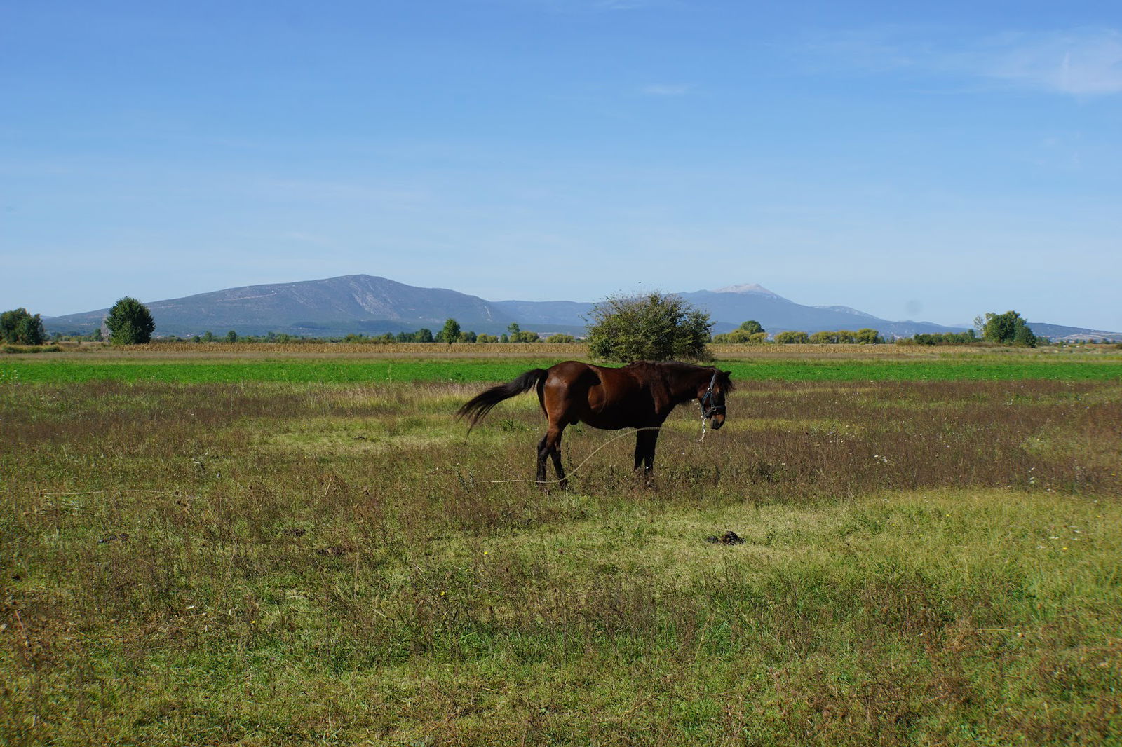 Gaz - Grab - Jabuka - Central Dalmatia Croatia - Bike Tracks