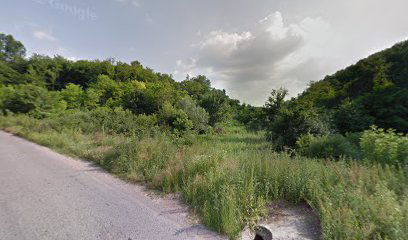 Lisović spomenik (Suva reka)