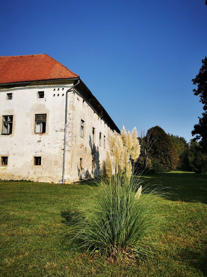 Grad (castle) Črnelo