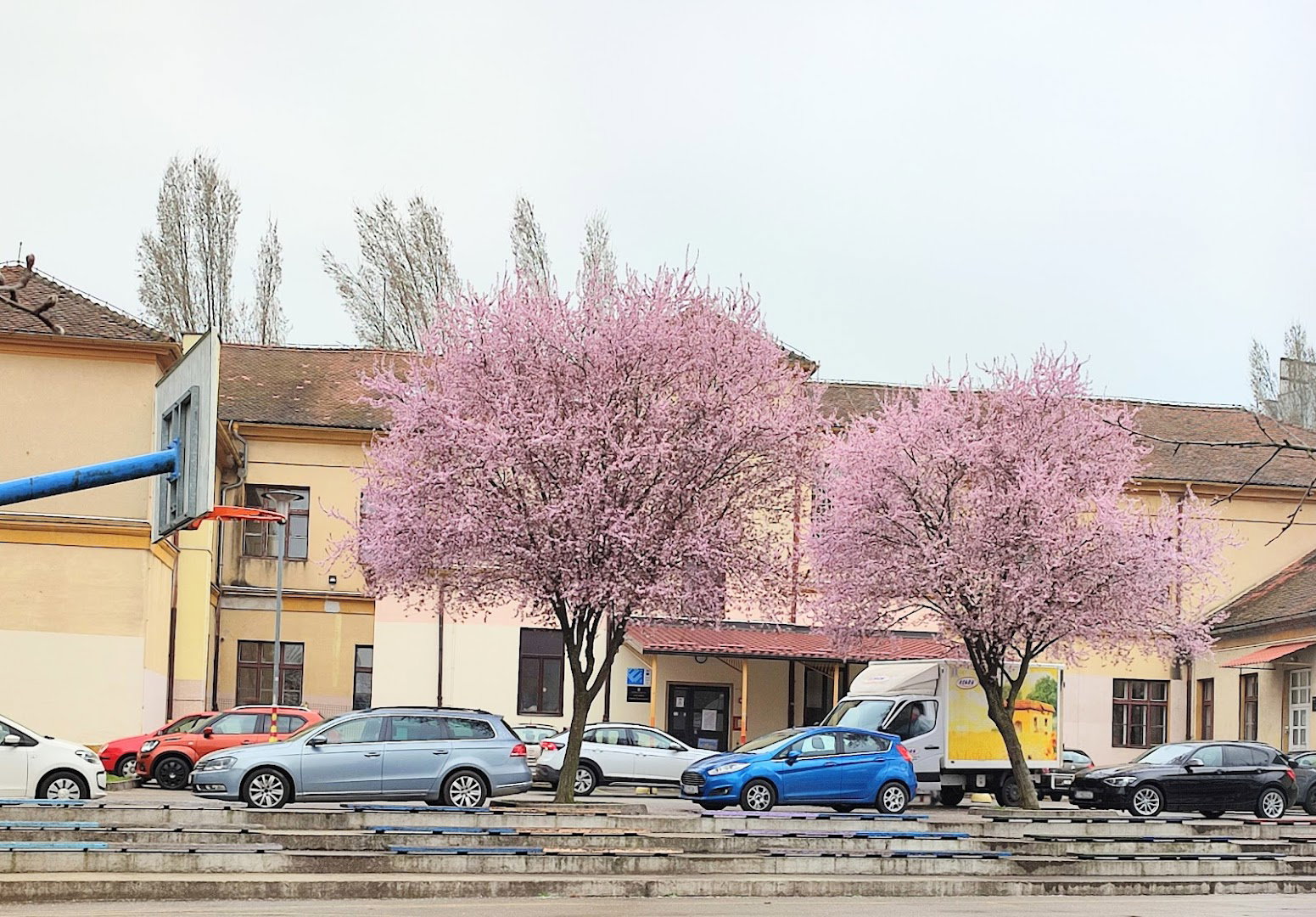 Elementary school Horvati