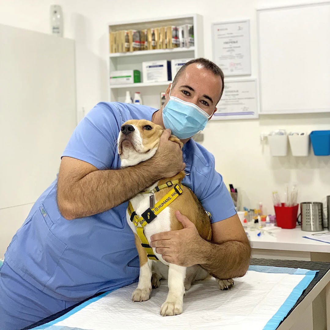 "Dr Aleksandar" • Veterinarska Ambulanta
