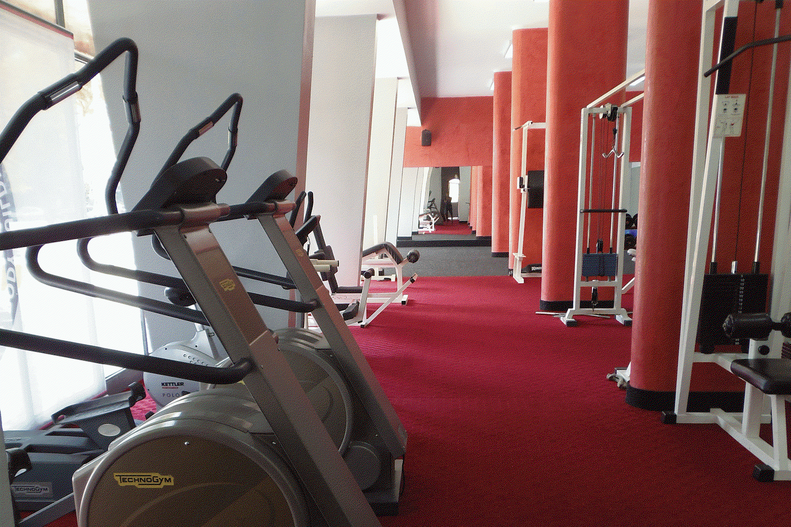 Body building club "Orcinus"