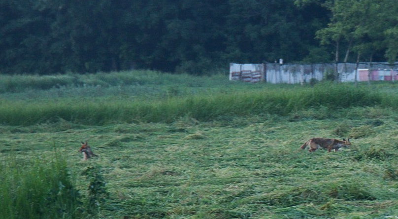 Lovačko udruženje Varovnice Mladenovac