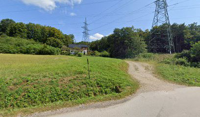 Lešnica/Ormožu sp.