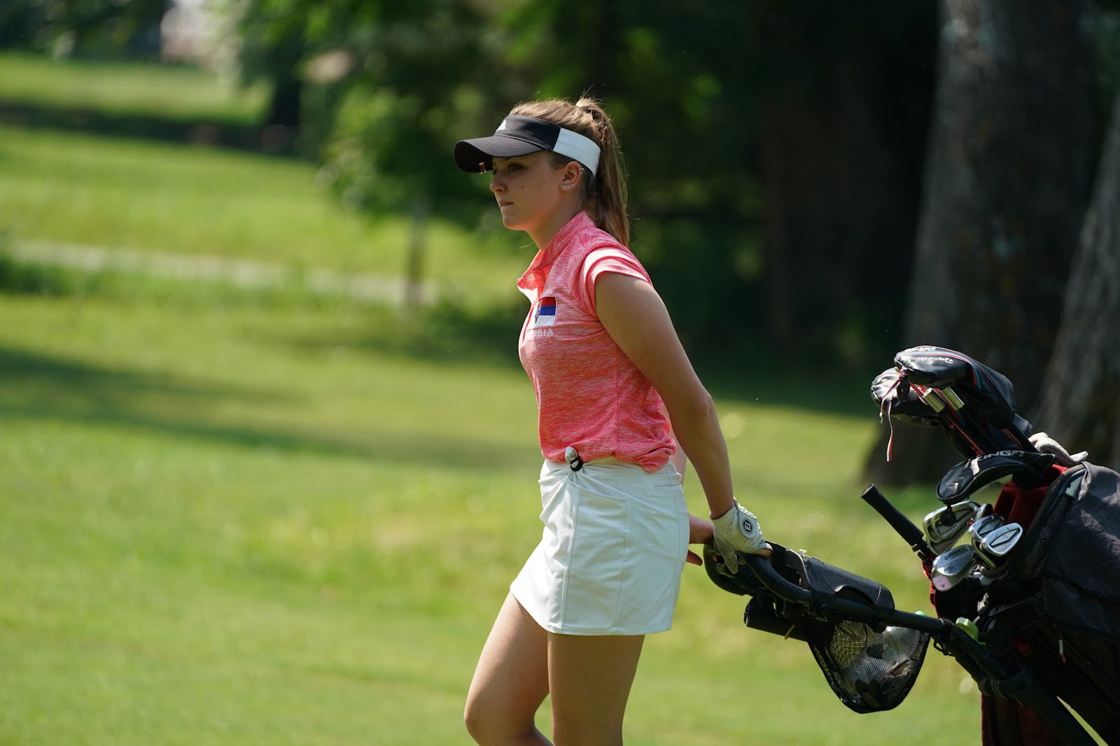 Golf asocijacija Srbije