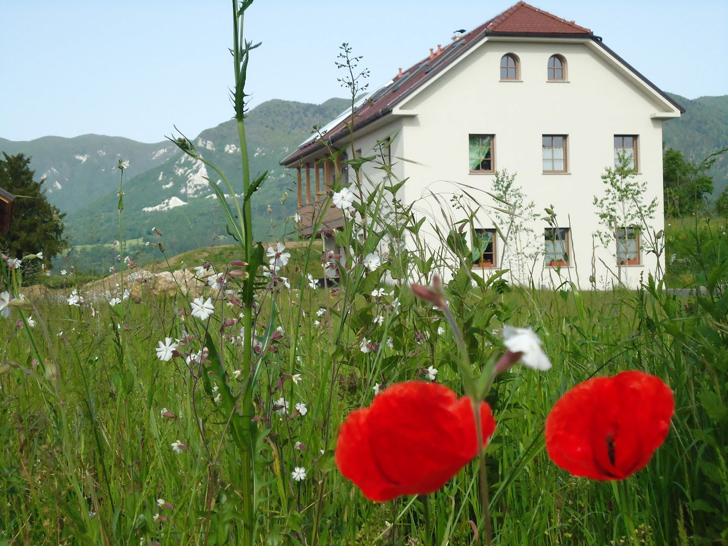 Landol 17, turizem in prenočišča, d.o.o.