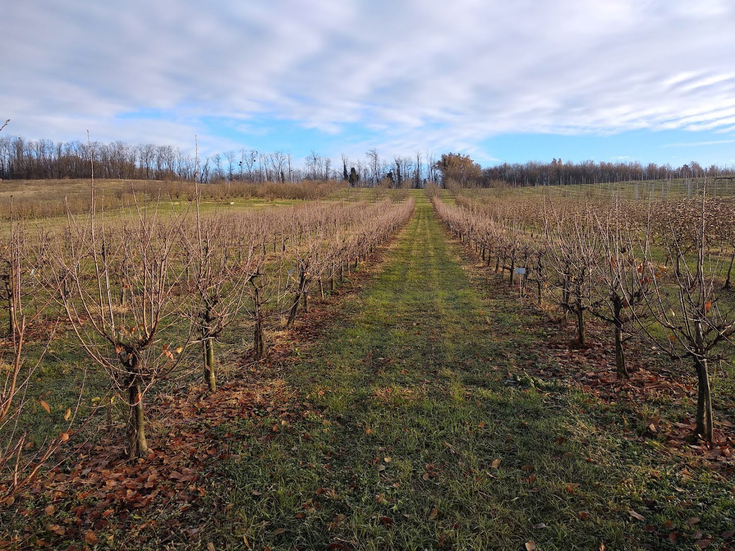 Pokušalište Donja Zelina