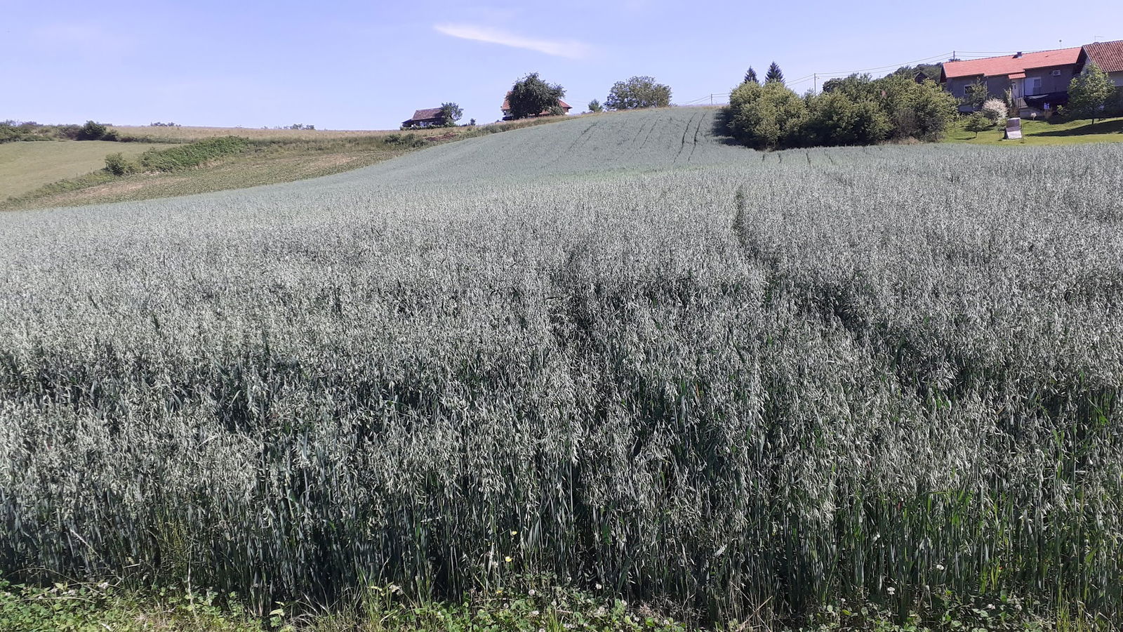 KTC Poljoljekarna Kutina