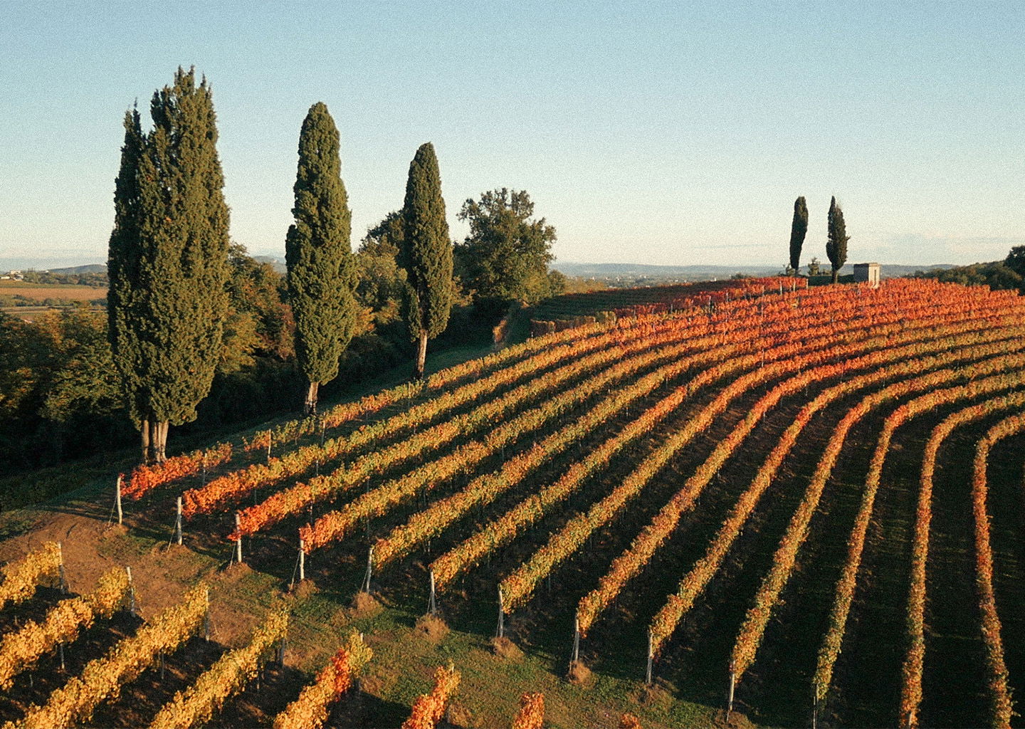 Fantin Nodâr Ermacora