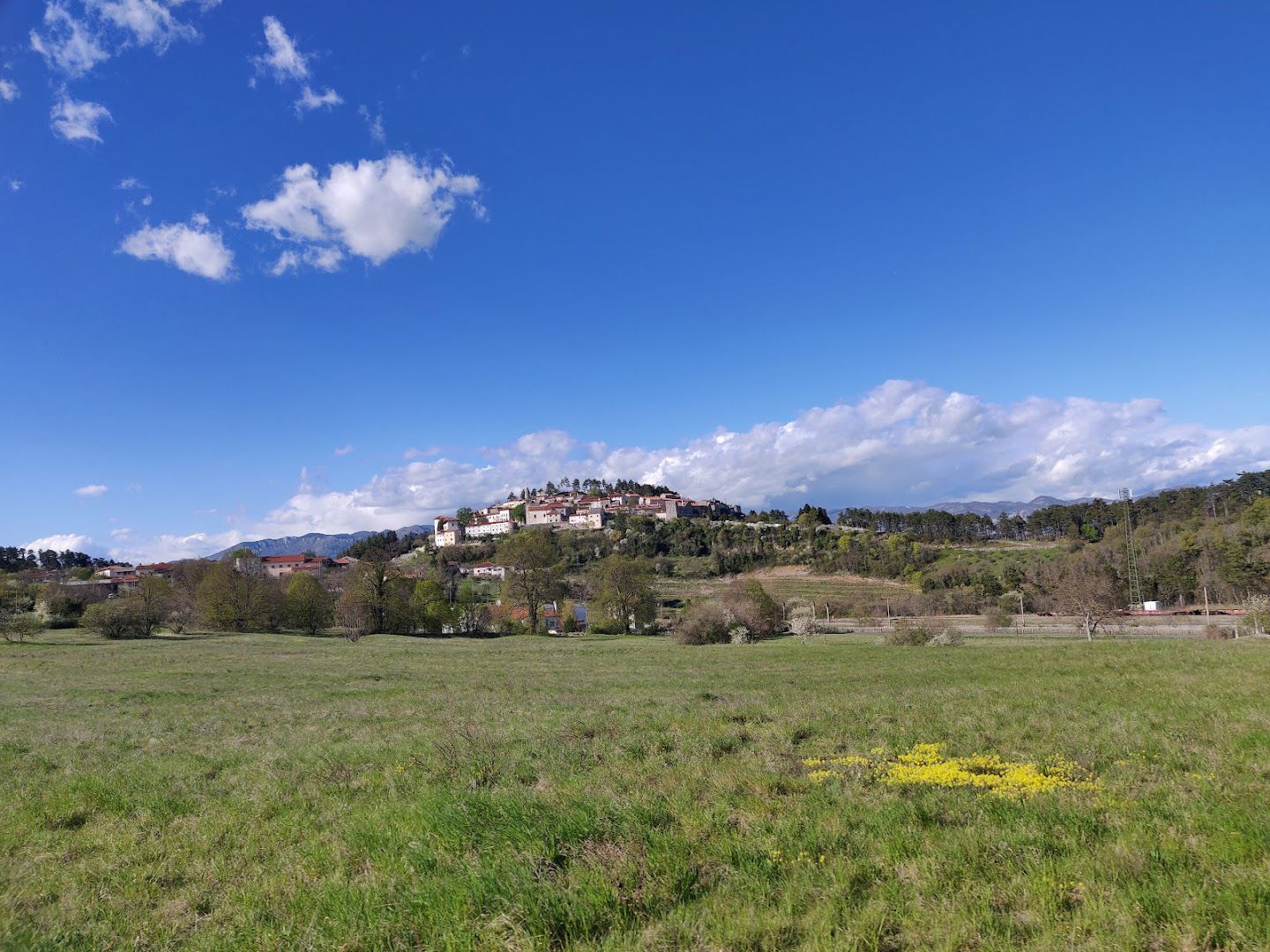 Sobe Fratnik , izobraževanje Nataša Fratnik Kobe s.p.