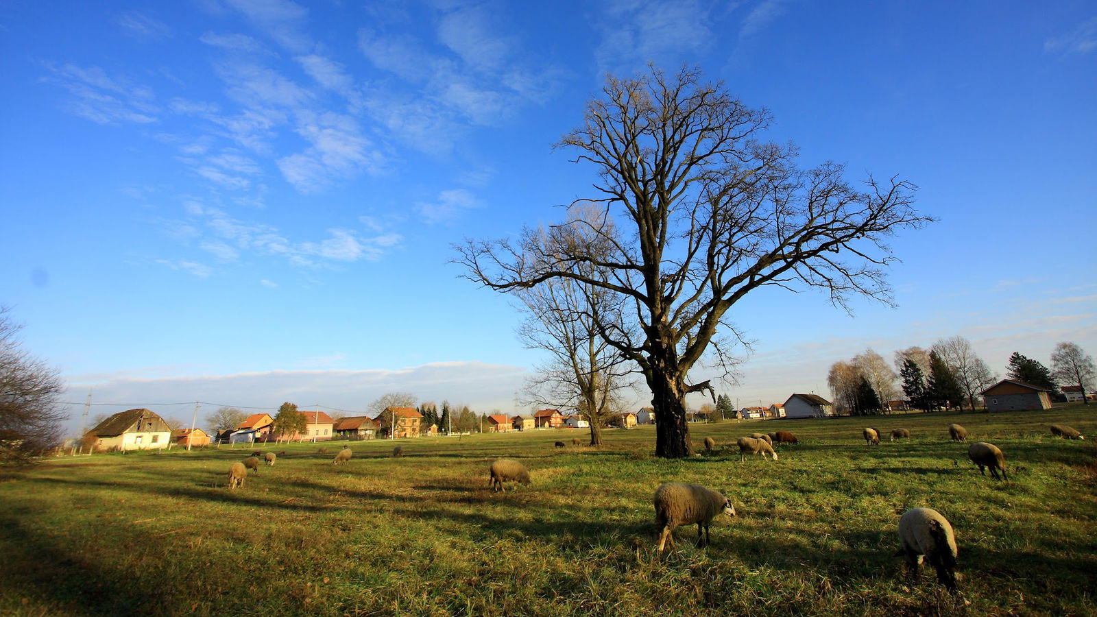 Nogometno Igralište Preseka Oborovska