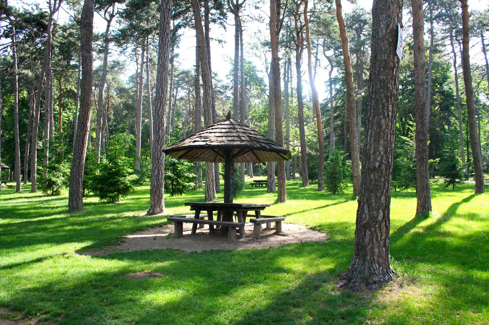 Forest Administration Avala