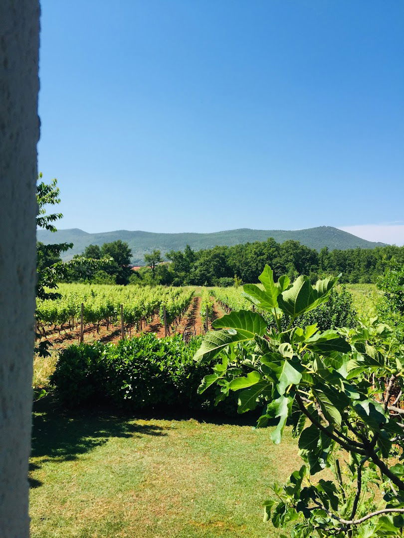 Rooms Nikola Ostojic