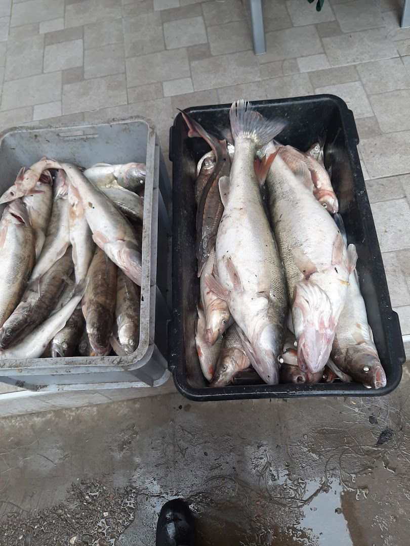 Slavoljub Popović PR Fisherman