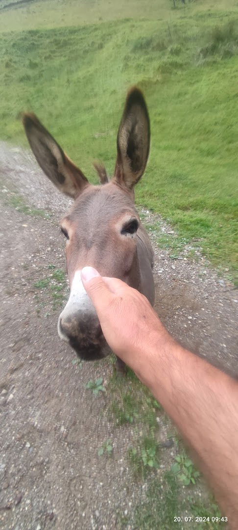 Jaka Brolih - nosilec dopolnilne dejavnosti na kmetiji