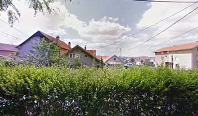 Železnik Gorana Gajica