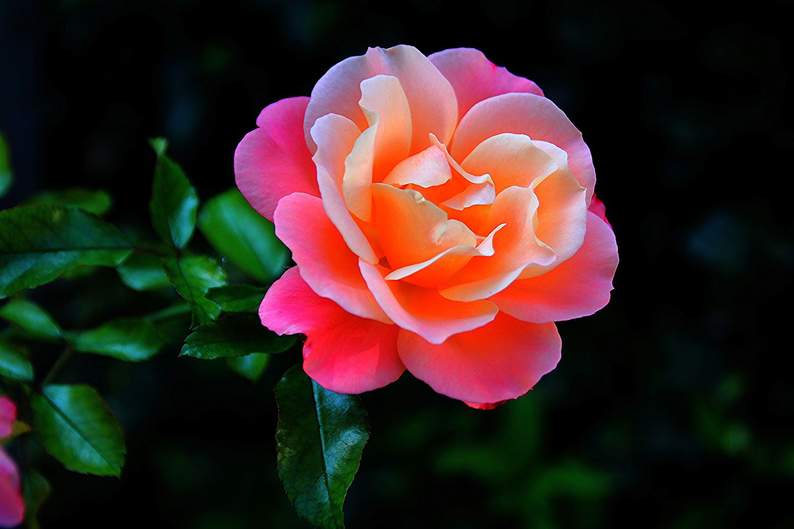 Agricola Monte San Pantaleone