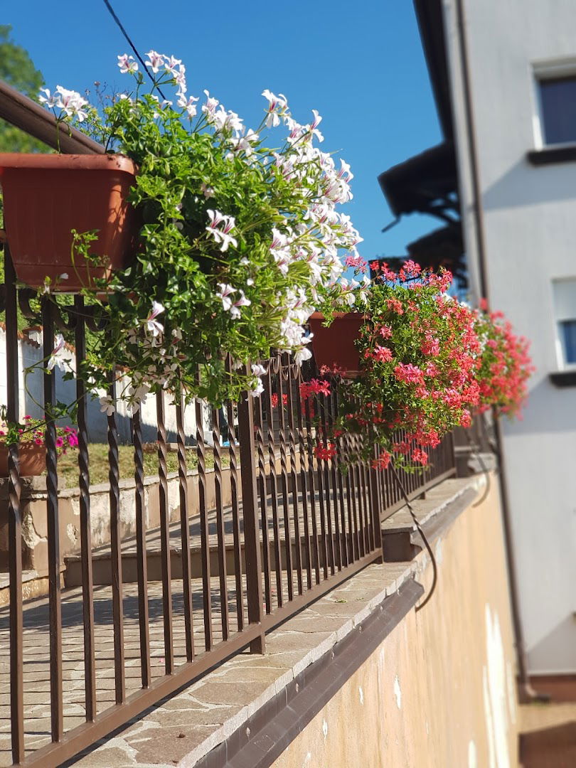 Apartments Adriana F.