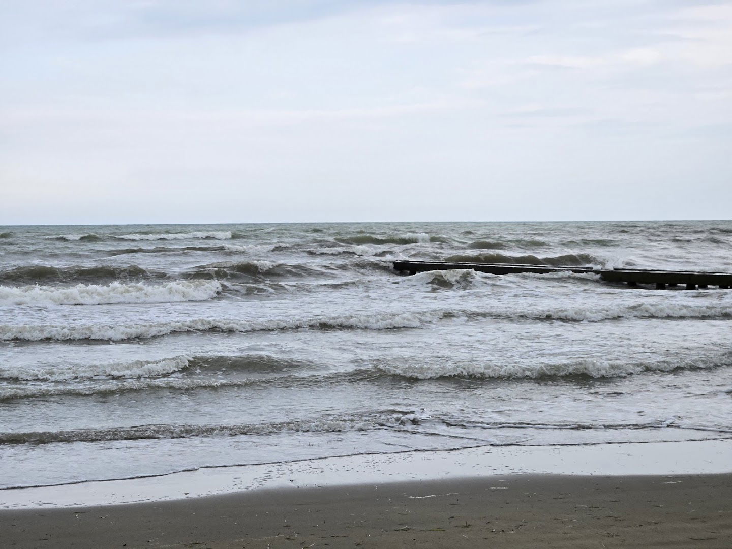Trenino Spiaggia "Delfino"