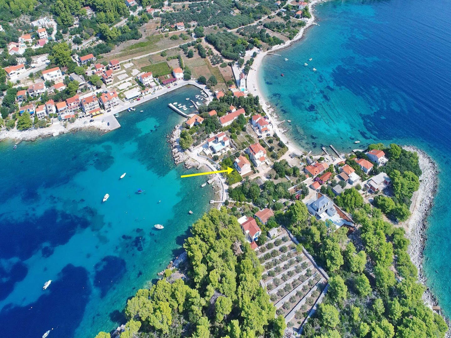 Apartman Blue Star Prižba