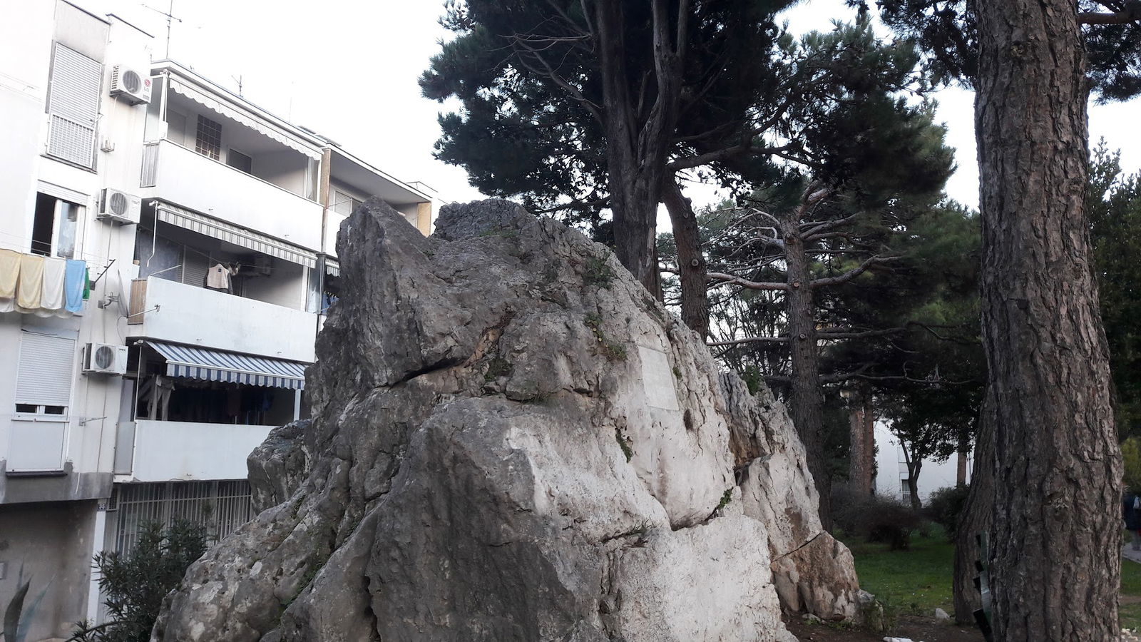 Spomenik Dulovog Čempresa