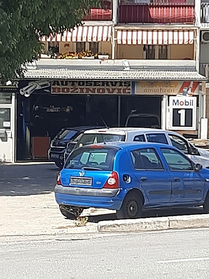 AUTOSERVIS BOŽINOVIĆ