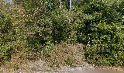 Conconello - tramvia