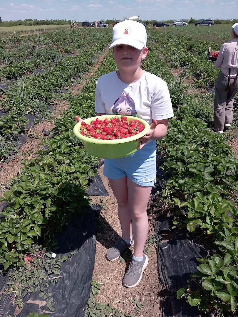 Private Stawberry Field