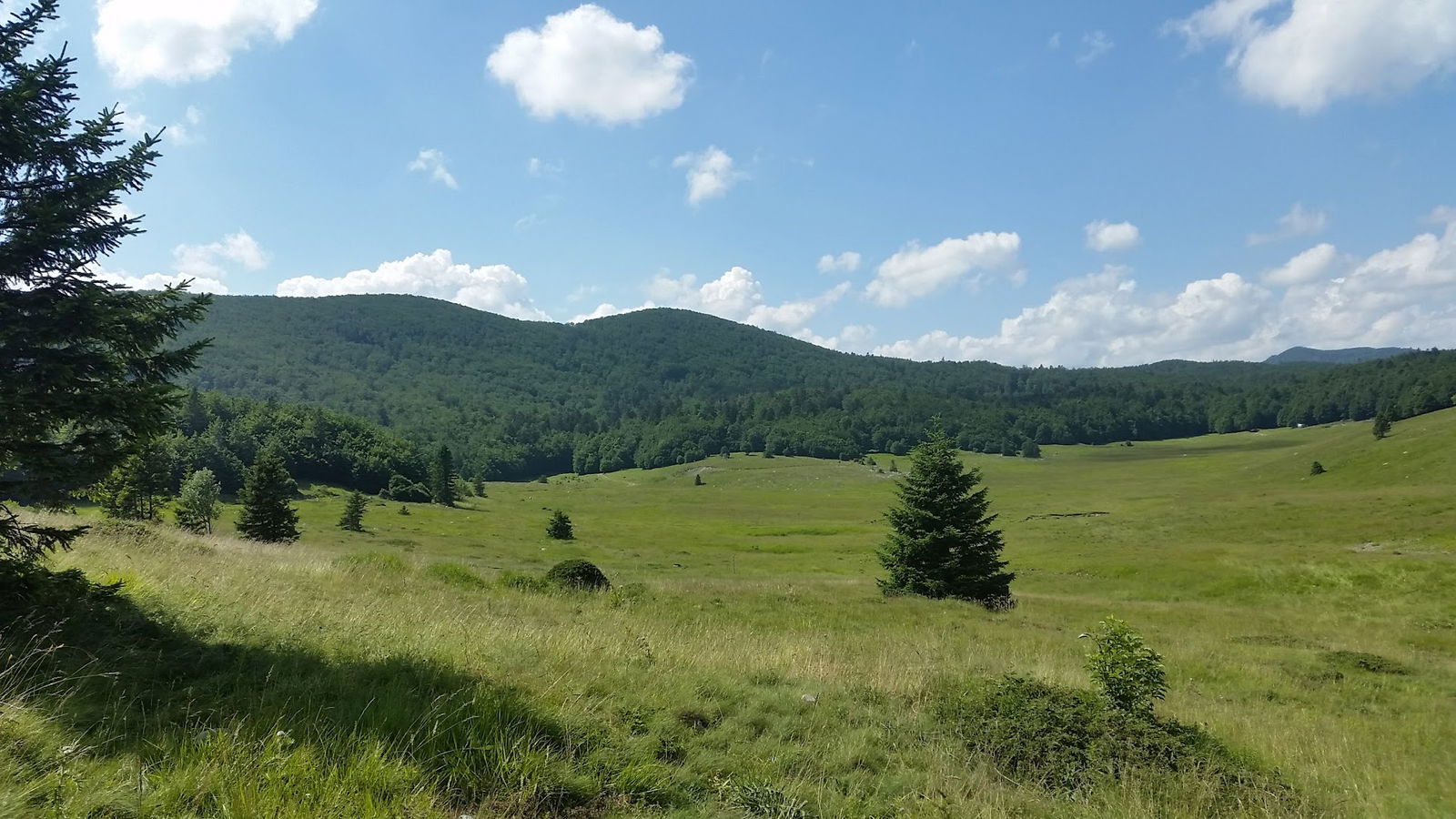 Trk u Šumu festival