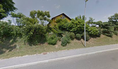 Slovenska nacionalna stranka