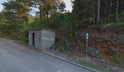 BRŠTANOVO BOROVINA 2