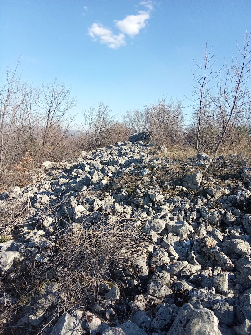 Ilirska gradina (MBH)