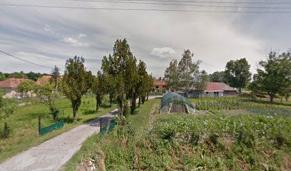 Veliki Crljeni - Matića kuća