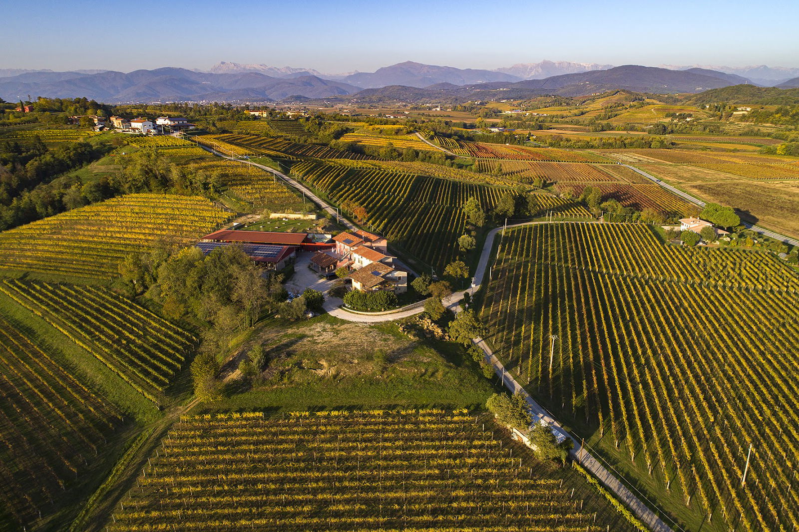 Gigante Wine & Welcome in Friuli