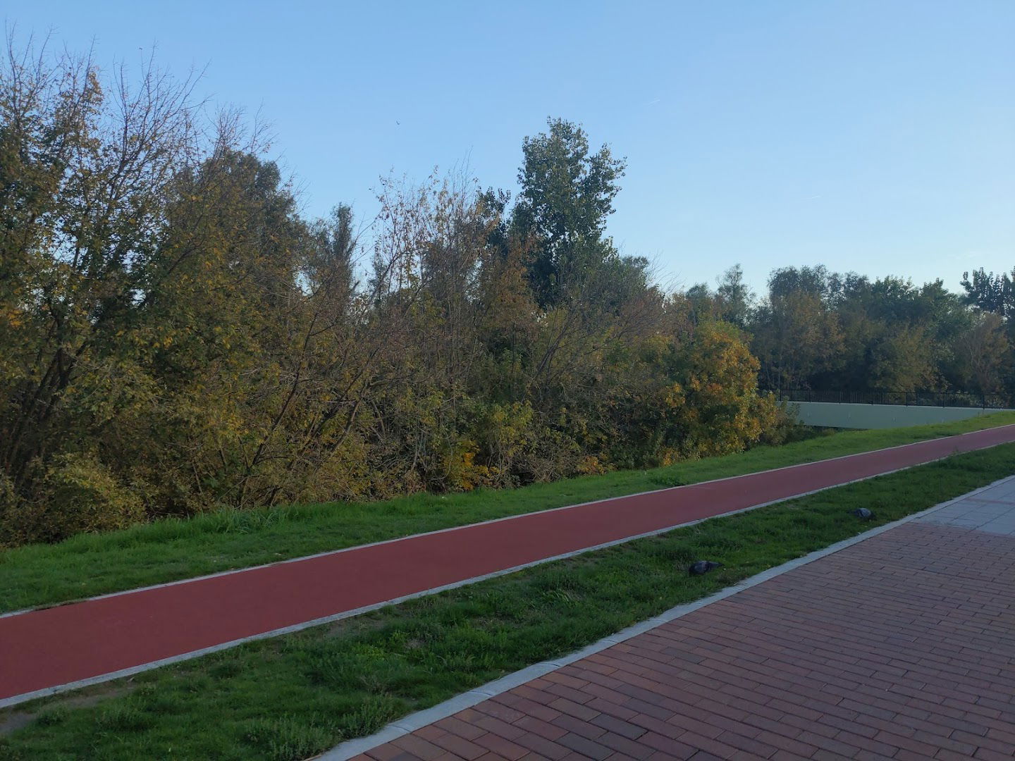 Златни Парк