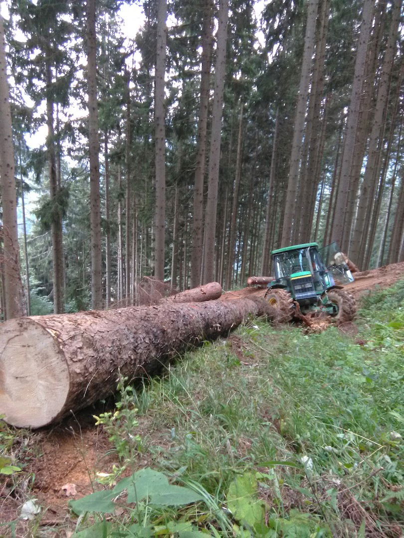 Gozdarske storitve, Jani Pušnik s.p.