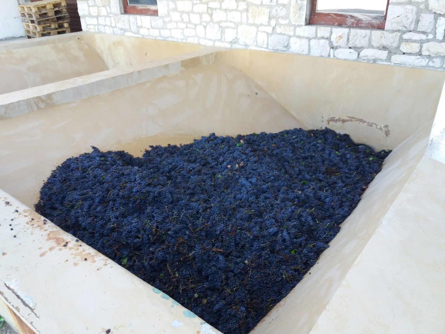 DRNIŠKI VINOGRADAR D. O. O. - vinarija