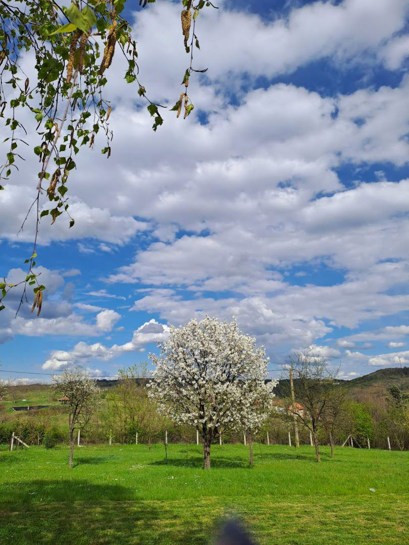 Lisović - Vikendica Markovići