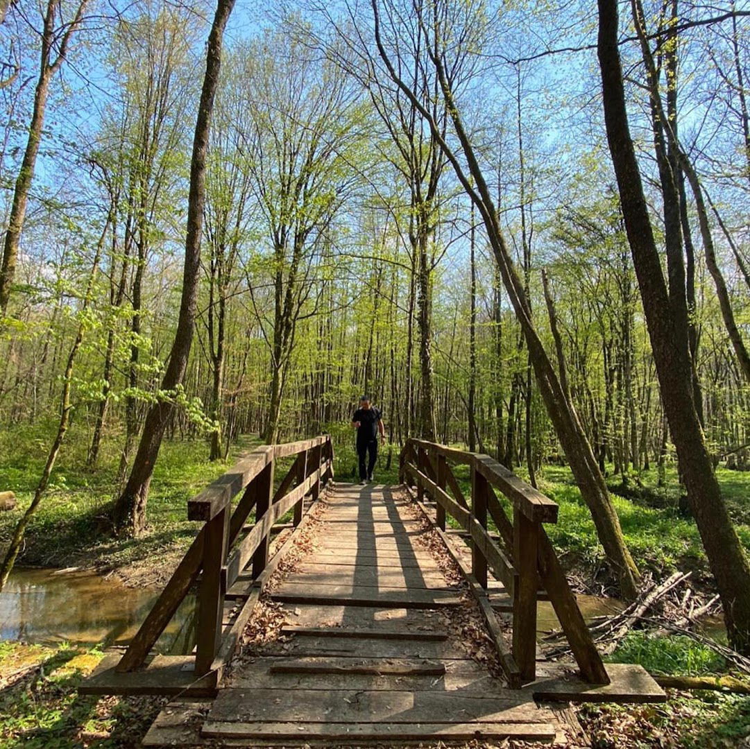 Pješačka poučna staza "Šumarica"
