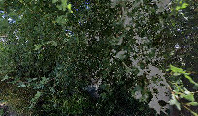 Stancija Golubovo 182