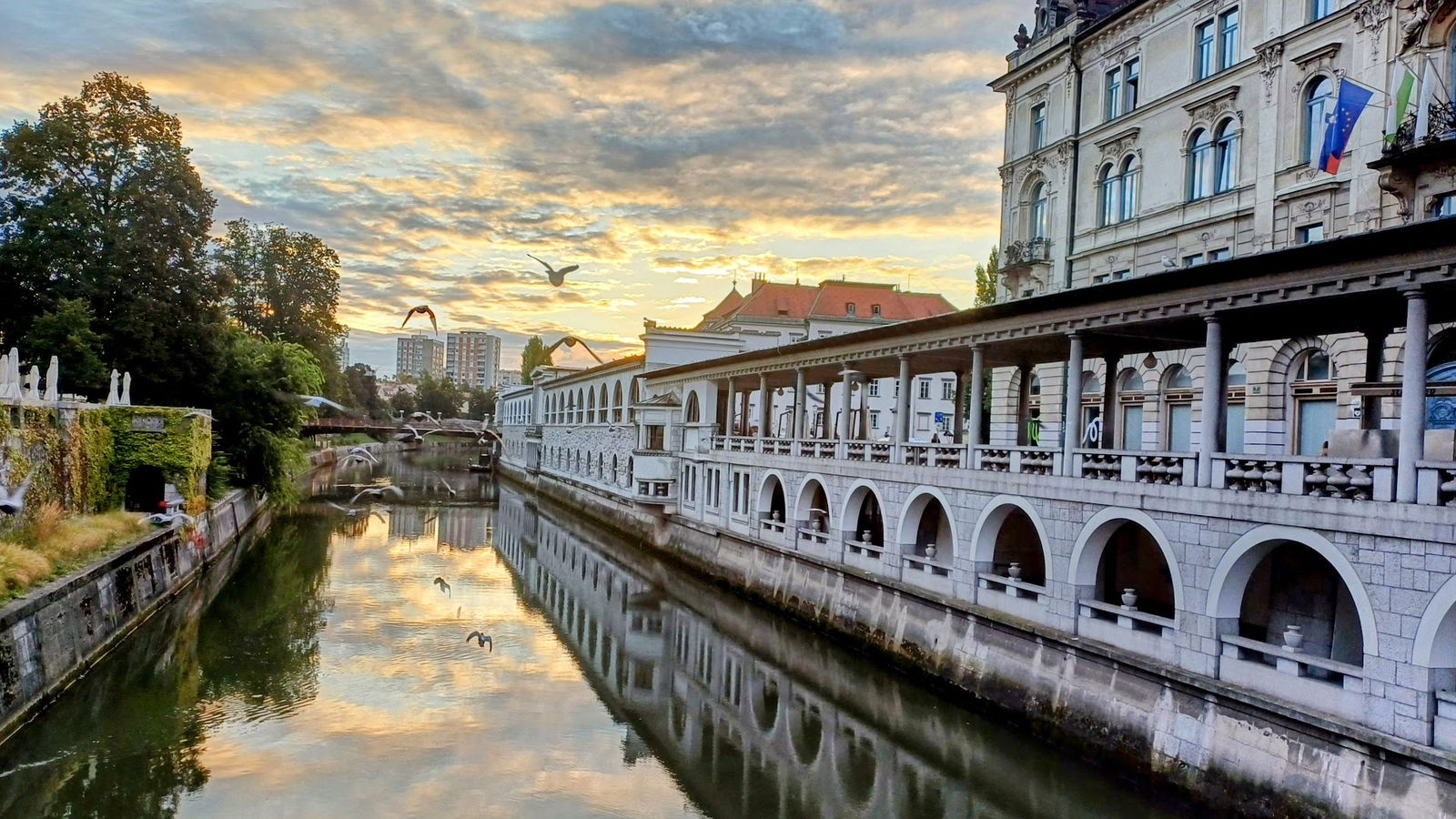 Plečnikova trafika