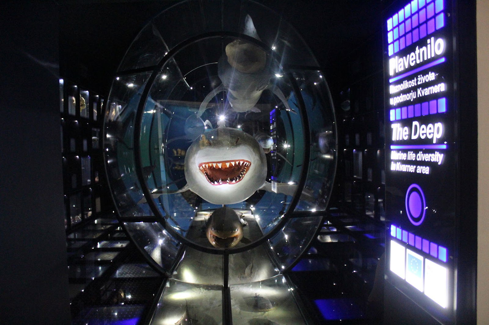 Natural History Museum Rijeka