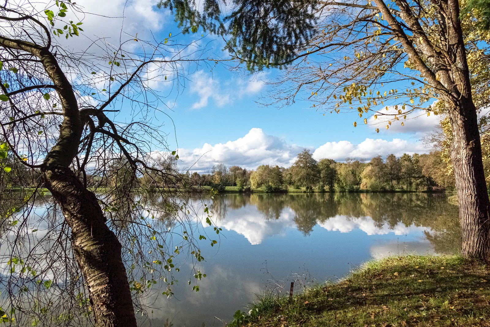 Šrd Slavonac Jakšić